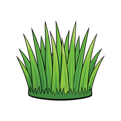 Grass vector illustration, green lawn or field element for landscape design, nature background and gardening clipart