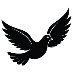 Obraz premium White Dove Flying with Open Wings Isolated Design