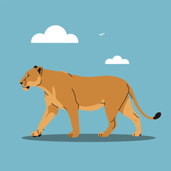 Flat vector illustration of a walking lioness