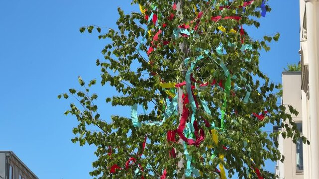 Beautifully decorated May tree on first of May holiday in Germany 2025