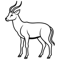 Minimalist Saiga Antelope Line Art Vector