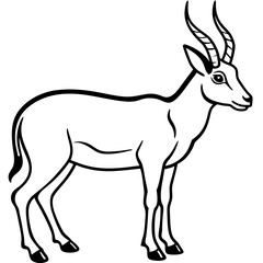 Minimalist Saiga Antelope Line Art Vector