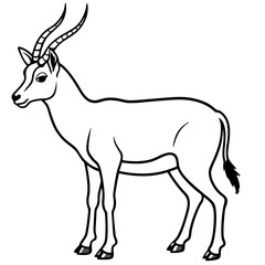 Minimalist Saiga Antelope Line Art Vector