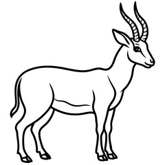 Minimalist Saiga Antelope Line Art Vector