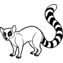 Minimalist Ringtail Vector Illustration