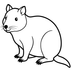 Minimal Vector Art – Quokka Edition