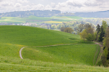 disc golf course in Gurten Bern Switzerland