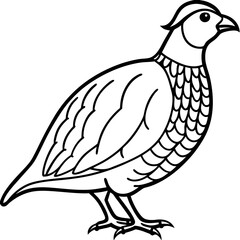 Elegant Quail in Minimal Vector Art