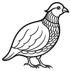 Elegant Quail in Minimal Vector Art