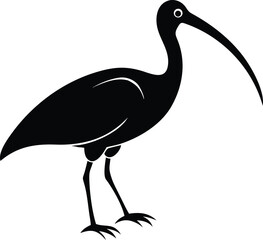 Fototapeta premium Minimalist Black and White Bird Silhouette with Stylized Feathers 