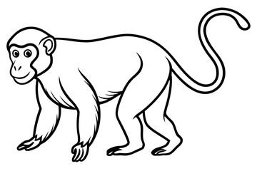 Minimalist Proboscis Monkey Line Art