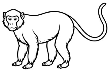 Minimalist Proboscis Monkey Line Art