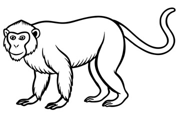 Minimalist Proboscis Monkey Line Art