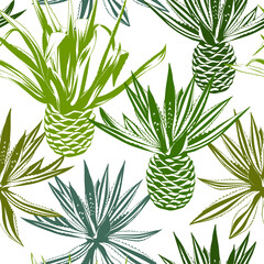 Seamless pattern. Agave on a white background. Desert and tropical thorny houseplants. 
