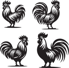 Rooster , chicken