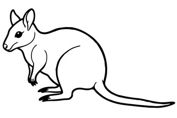 Minimalist Pademelon Line Drawing