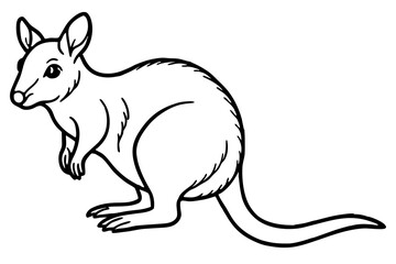 Minimalist Pademelon Line Drawing