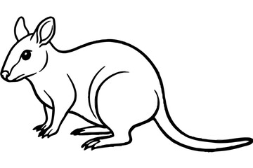Minimalist Pademelon Line Drawing