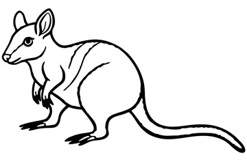 Minimalist Pademelon Line Drawing