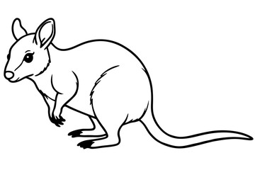 Minimalist Pademelon Line Drawing