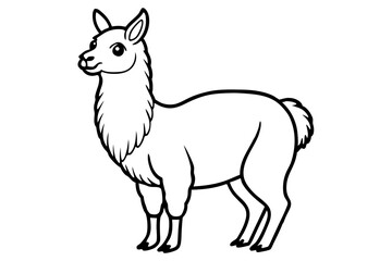 vector illustration of a llama