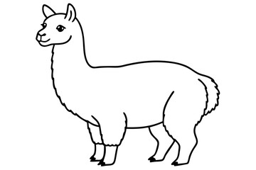 vector illustration of a llama