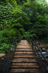 Puente de madera en la cascada Sekumpul, Bali, Indonesia