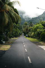 Carretera recta entre palmeras con montaña y niebla, Bali, Indonesia