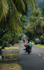 Carretera recta entre palmeras con montaña y niebla, Bali, Indonesia