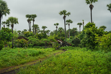 Casas en mitad de la selva con palmeras y plantas, Bali, indonesia