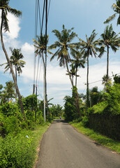 Fototapeta premium Carretera entre palmeras, Bali, Indonesia