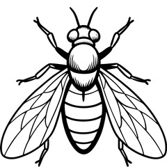 Horsefly Outline – Clean Vector Style