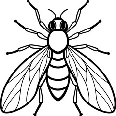 Horsefly Outline – Clean Vector Style