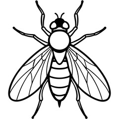 Horsefly Outline – Clean Vector Style