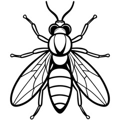 Horsefly Outline – Clean Vector Style