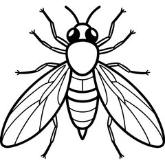 Obraz premium Horsefly Outline – Clean Vector Style