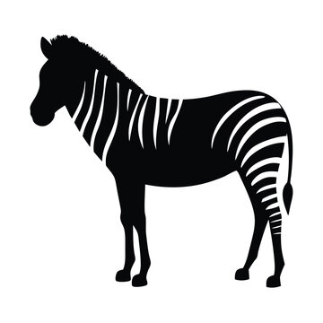 Vector silhouette of a zebra in profile view with stripes