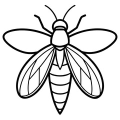 Elegant Firefly Line Art Design