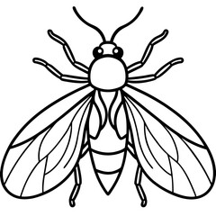 Elegant Firefly Line Art Design