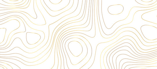 Abstract topographic contour map and geographic mountain relief background design .topography contour map white wave paper and curve golden color lines vector background .