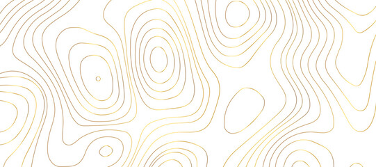 Abstract topographic contour map and geographic mountain relief background design .topography contour map white wave paper and curve golden color lines vector background .
