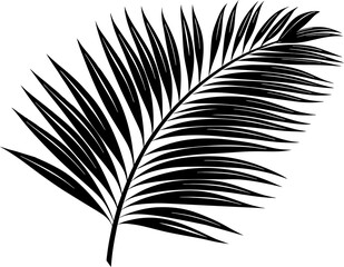 Fototapeta premium A single black bird feather, a natural plume, isolated as a vector illustration on white, evokes a sense of light design