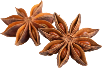 Exquisite Star Anise Pods