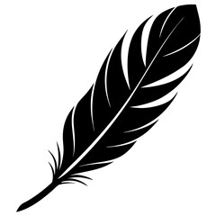 Fototapeta premium feather vector icon on white background 