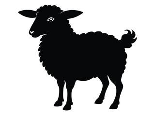 A white, isolated, vector illustration depicts a domestic sheep, a mammal commonly found as livestock on farms
