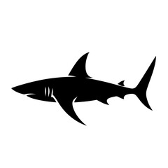 Obraz premium Shark silhouette isolated