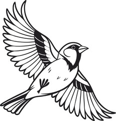 Obraz premium bird on white background