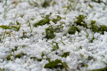 Green grass under the snow hail. Selective focus blur.