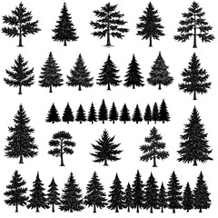 Evergreen Silhouettes: A Collection of Ink Drawings AI Generated