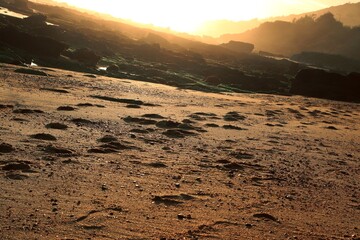 Wild ocean beach. A lonely panorama. A romantic view. Warm rays of light. Footprints in the sand. A colorful picture. A postcard. Wallpaper. Background